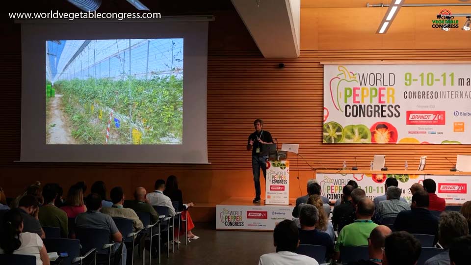 Agricultura Regenerativa, impacto del virus del rugoso, World Pepper Congress