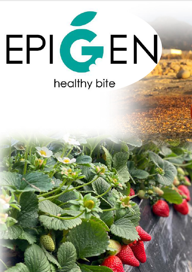 Epigen Healthy Bite