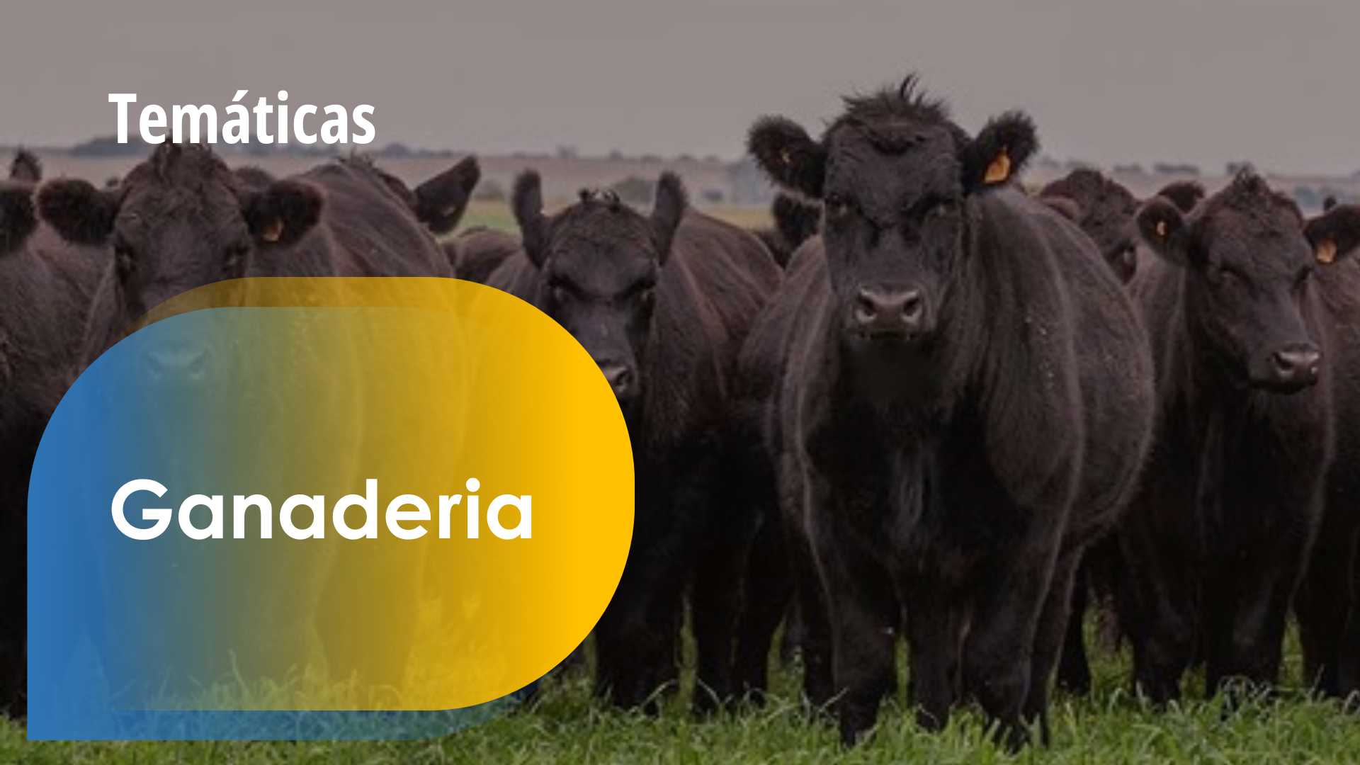 2da Masterclass Terragénesis