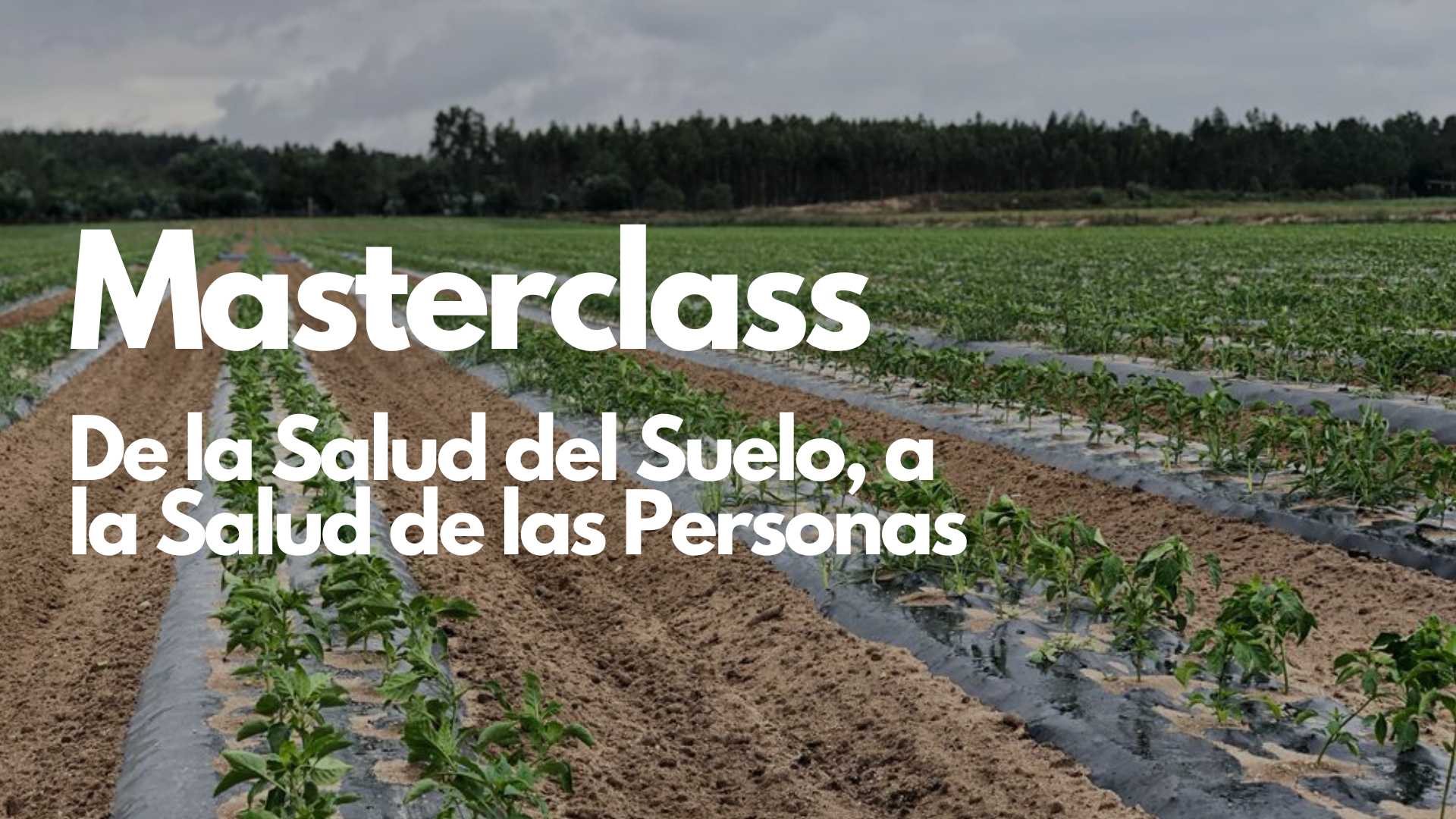 Masterclass De la Salud del Suelo, a la Salud de las Personas
