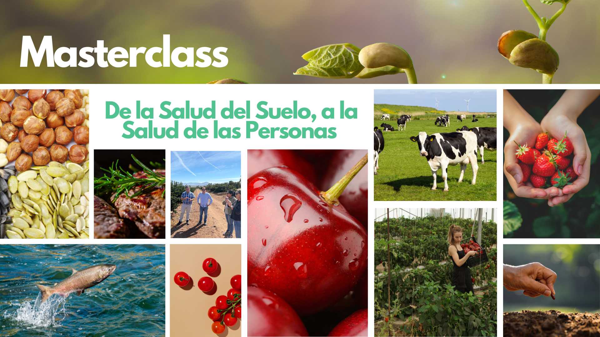 Masterclass De la Salud del Suelo, a la Salud de las Personas
