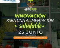 AgriFood Summit Araucanía 2025 – Enfocando la Salud del Suelo para la Salud Humana