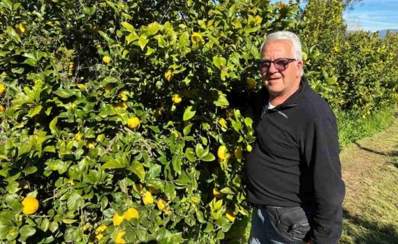 Agricultura Regenerativa: La clave para una producción de limones de exportación más rentable y sostenible