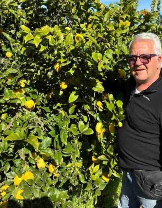 Agricultura Regenerativa: La clave para una producción de limones de exportación más rentable y sostenible