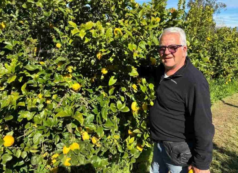 Agricultura Regenerativa: La clave para una producción de limones de exportación más rentable y sostenible