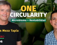 ¿Se puede regenerar el agro y al mismo tiempo mejorar la rentabilidad?